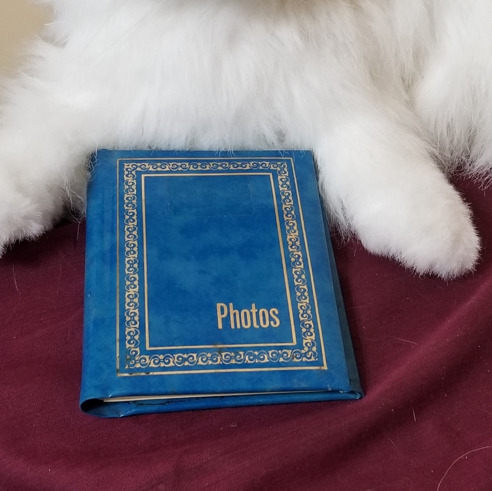 Blue photo album